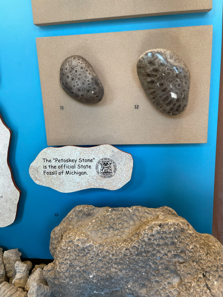 petoskey stone display