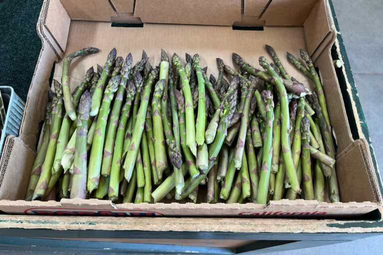 asparagus