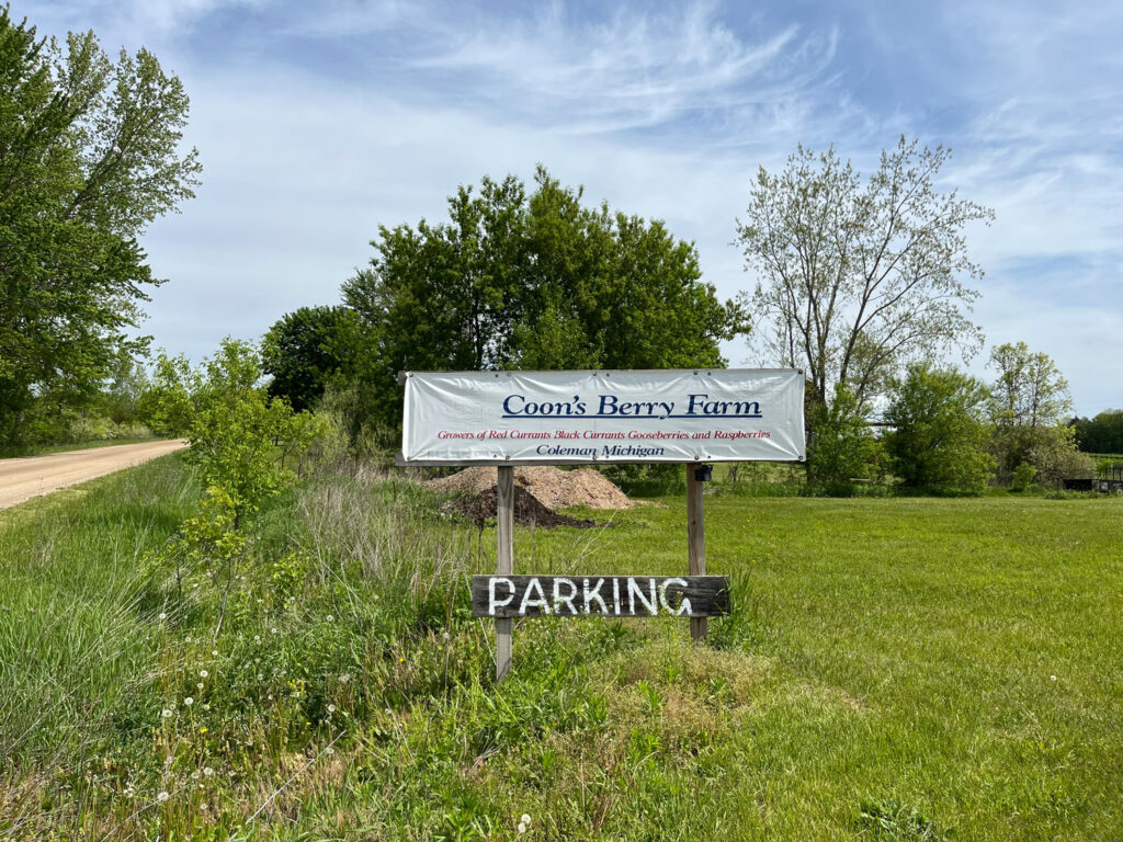 coon's berry farm sign