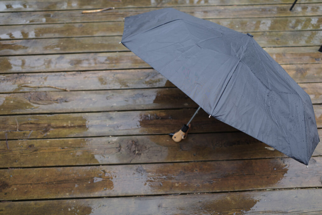 umbrella