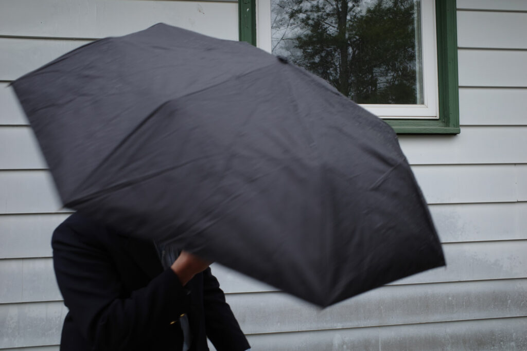 umbrella