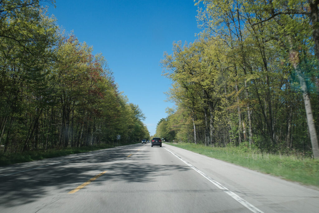 road in woods