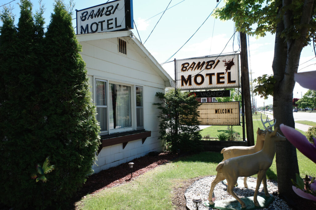 bambi motel