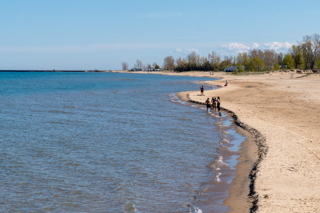 beach with people