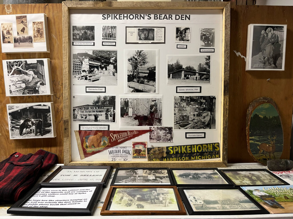 Spikehorn