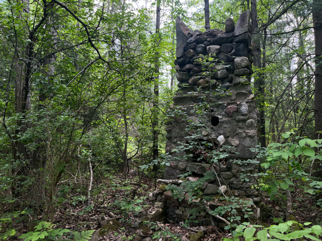 forest with stone chimney