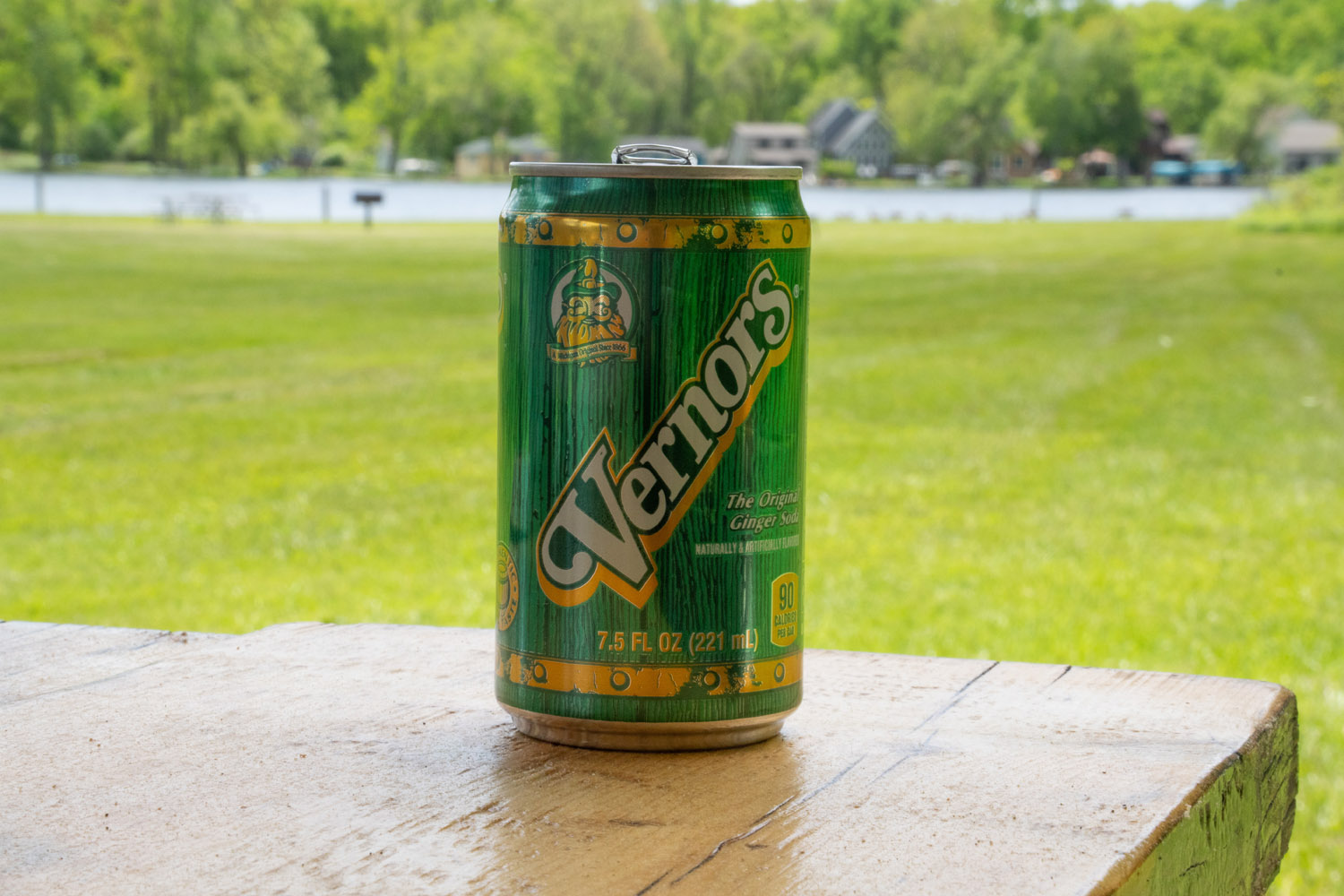 vernors