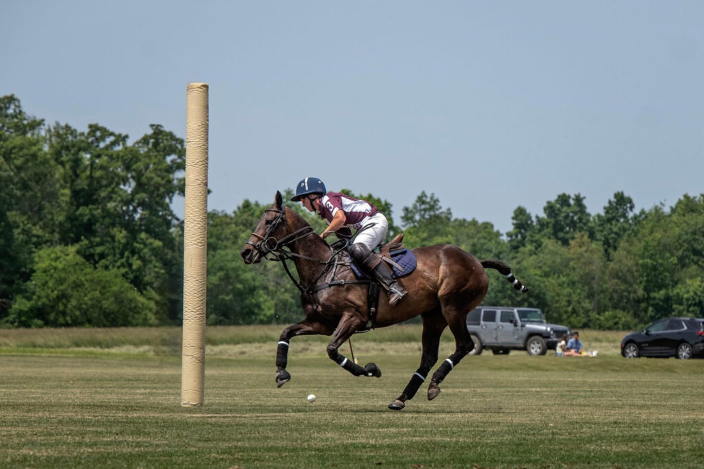 polo