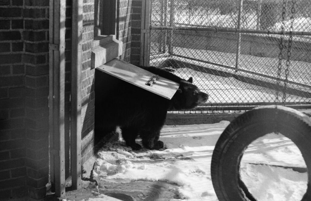 university of michigan zoo