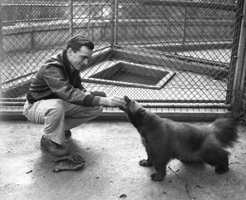 university of michigan zoo