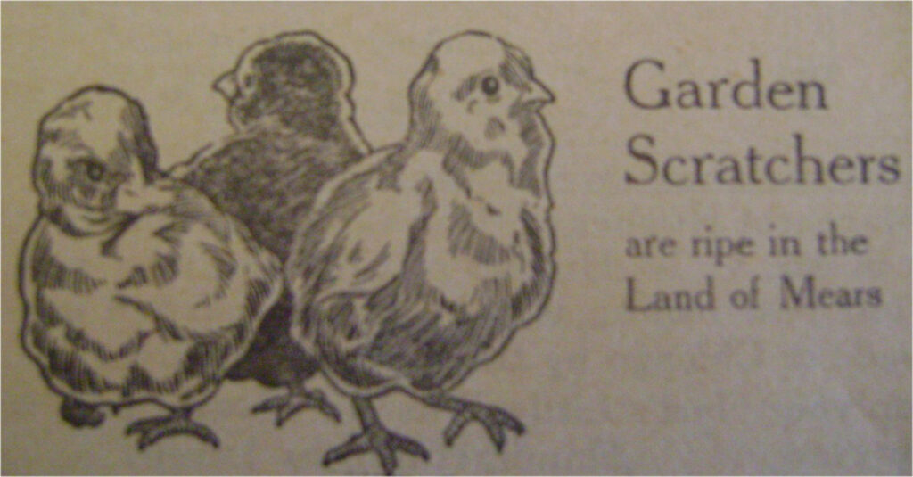 Mears Newz headline "Garden Scratchers are ripe in the land of mears"