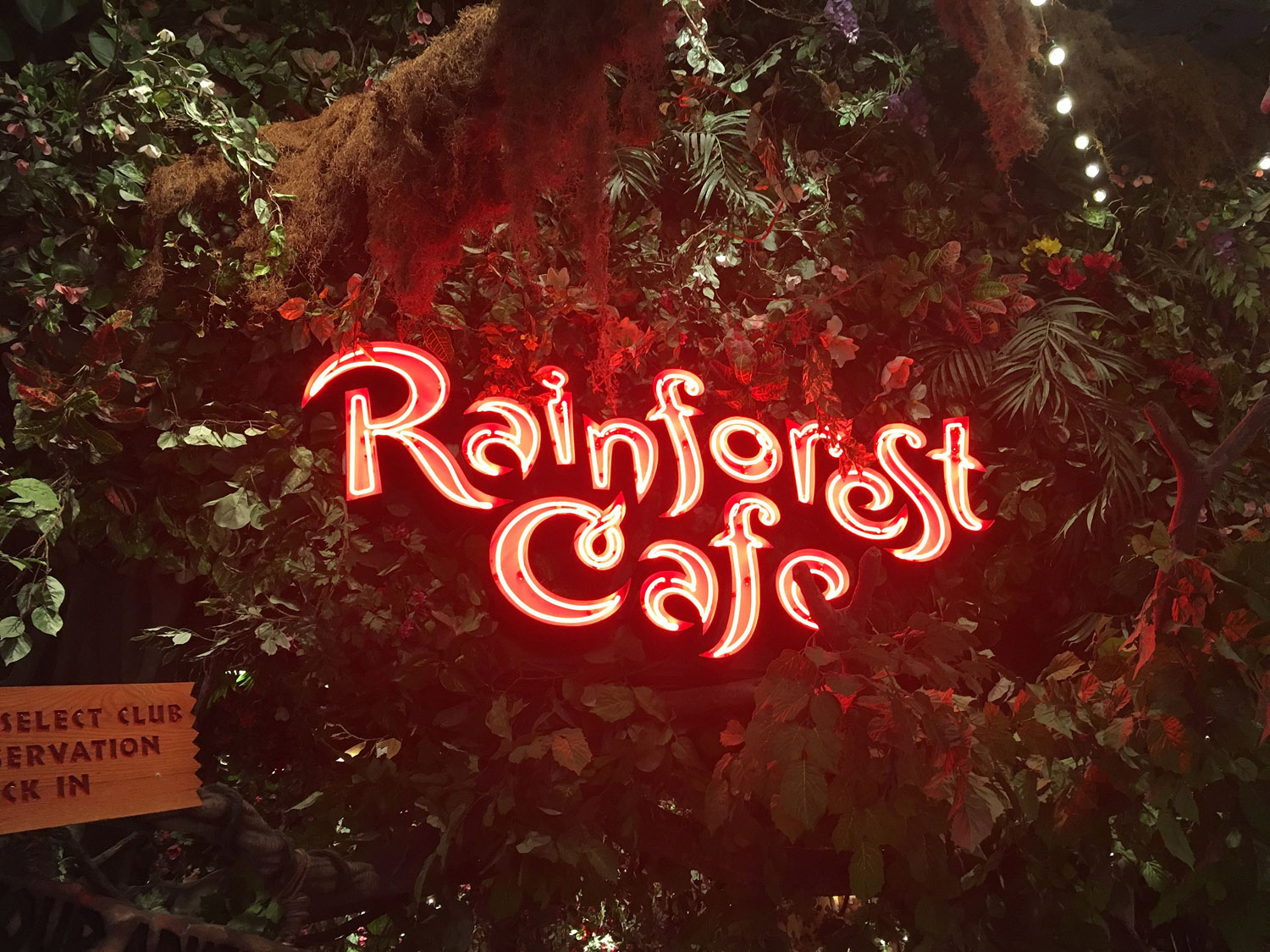 rainforest cafe