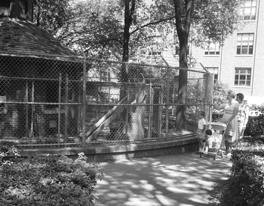 university of michigan zoo