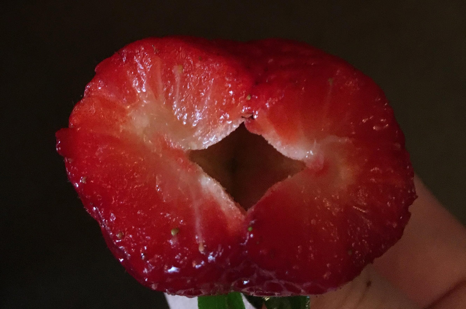 hollow strawberry