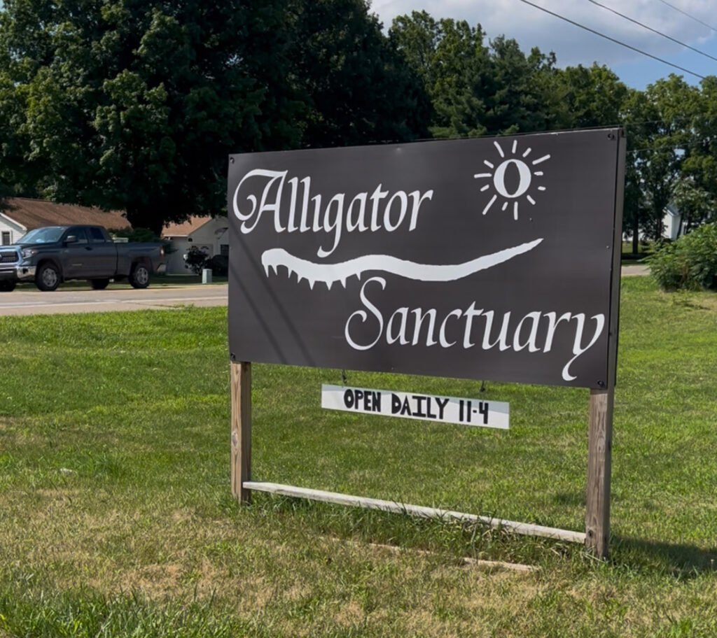 alligator sanctuary