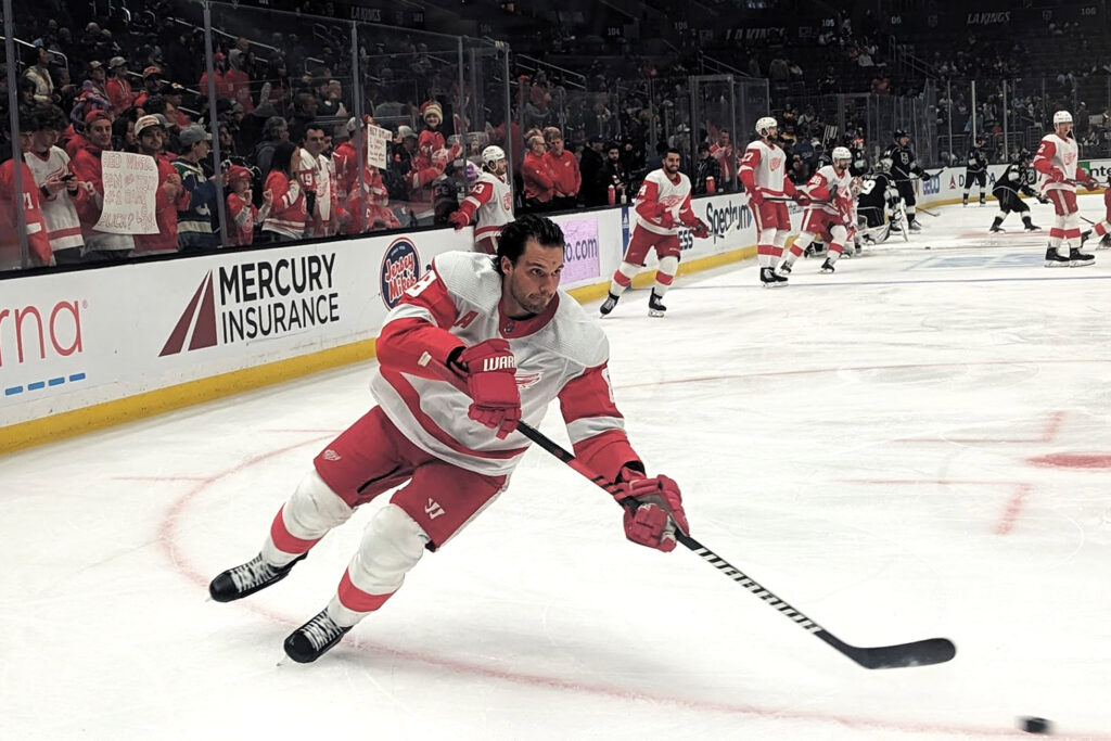 detroit red wings