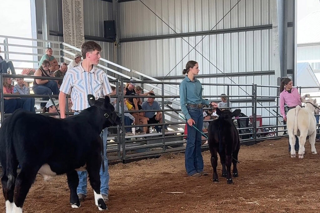 Kent County Youth Fair
