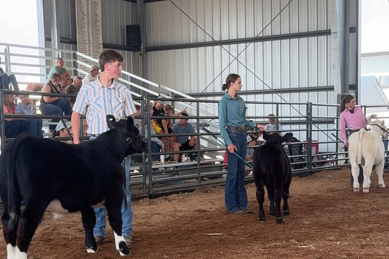 Kent County Youth Fair