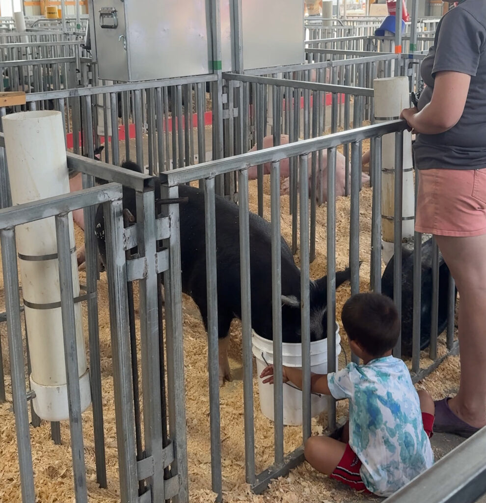 Kent County Youth Fair