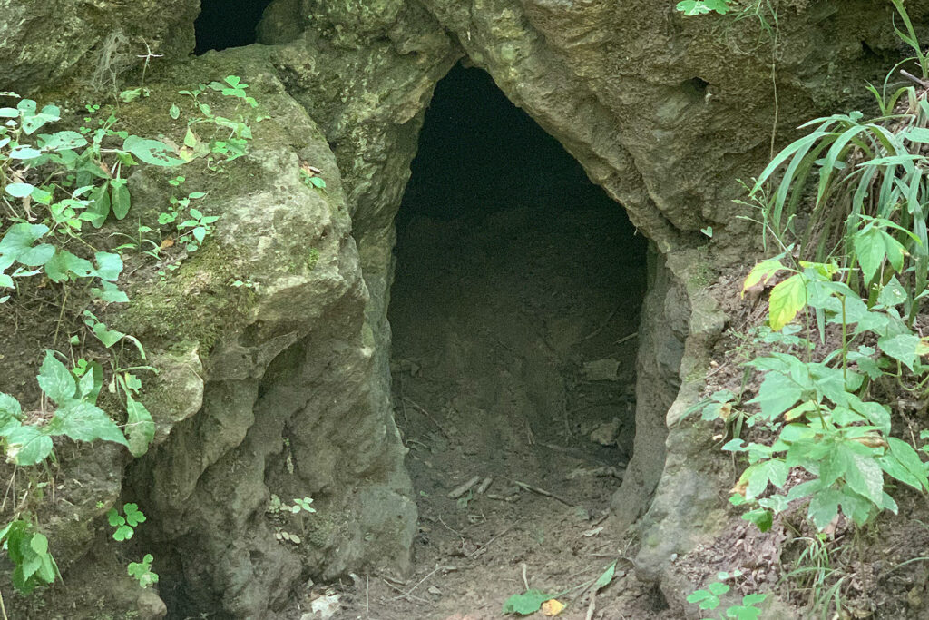 cave and silas doty