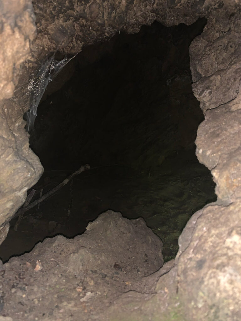cave and silas doty