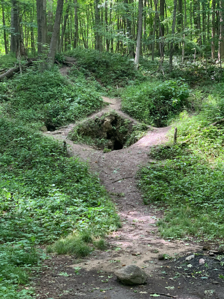 cave and silas doty