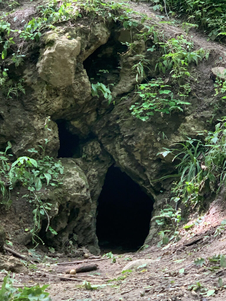 cave and silas doty