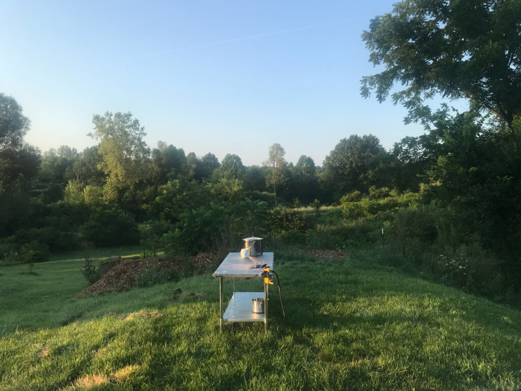 chicken harvesting with beers and equipment