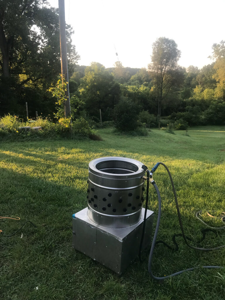chicken harvesting with beers and equipment