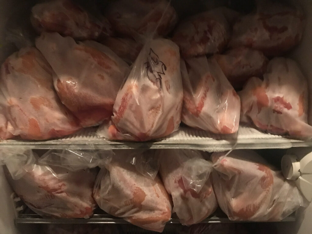 chicken harvesting with beers and equipment