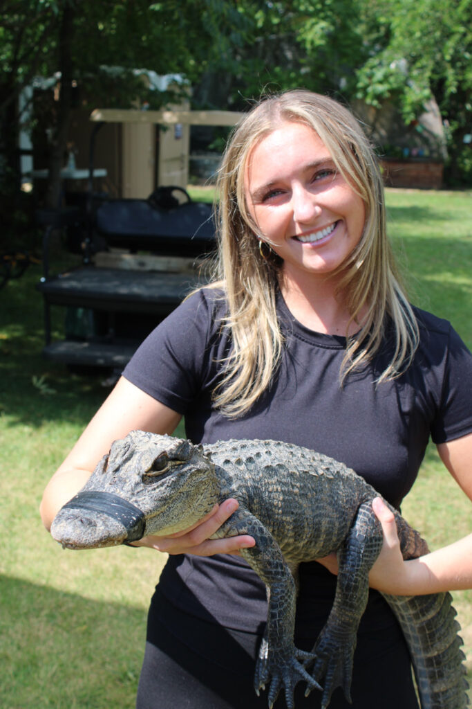 alligator sanctuary