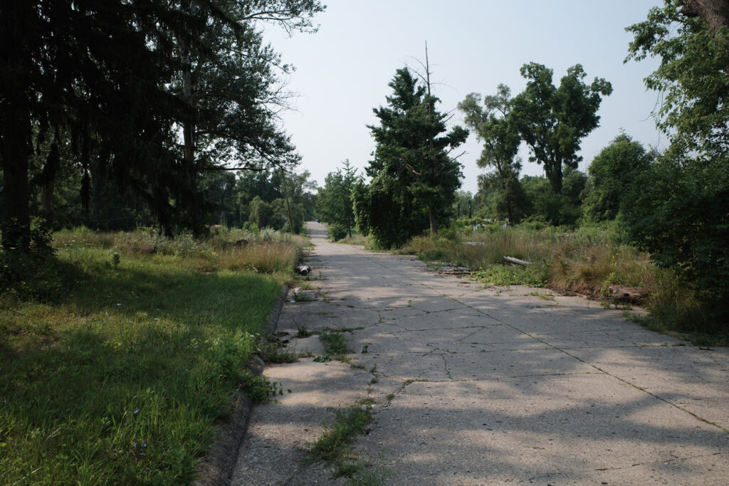 Brightmoor