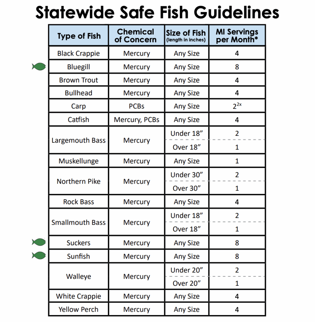 statewide safe fish guidelines