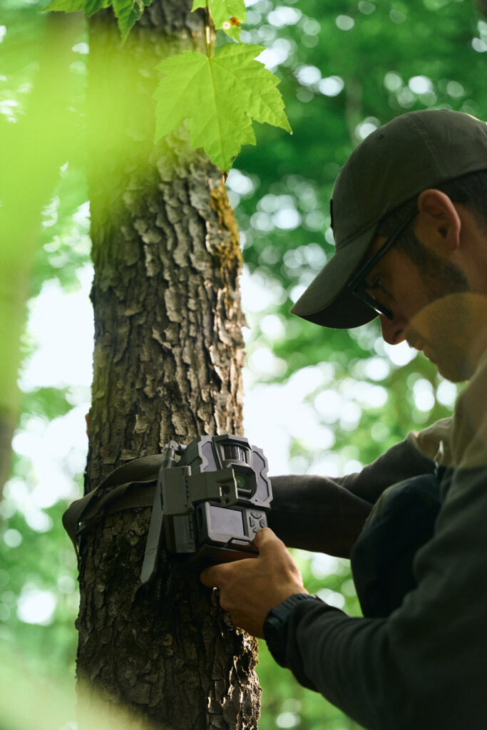 trail cam setup