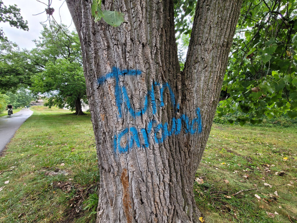 Lansing trail system with homeless encampments and graffiti