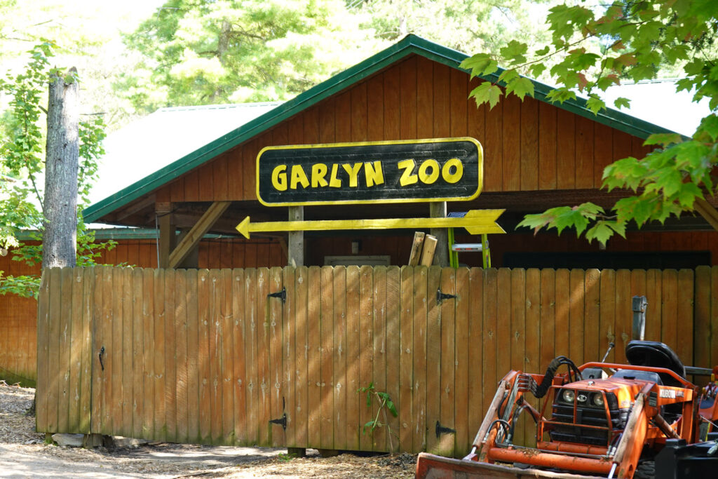 garlyn zoo and animals