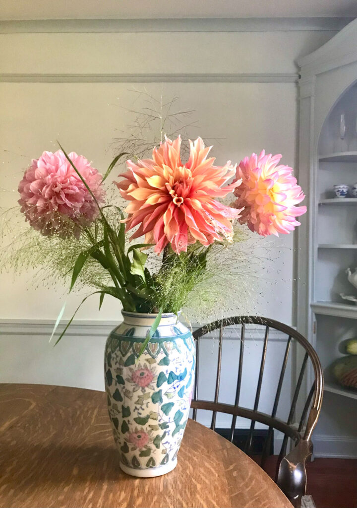 dahlias