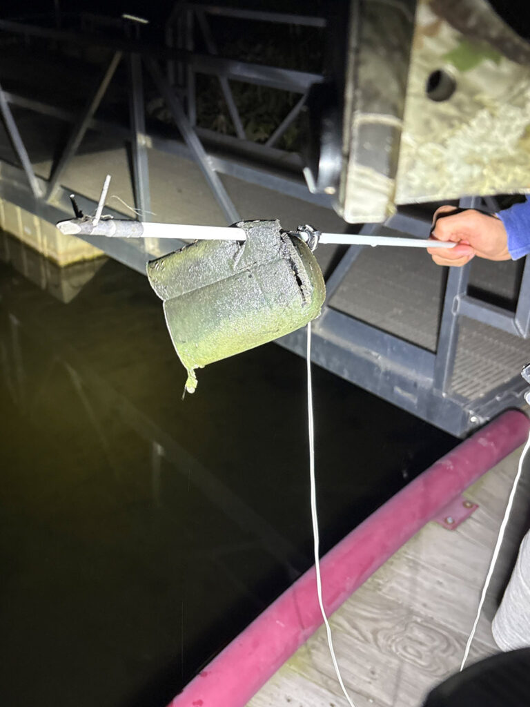 bow fishing carp