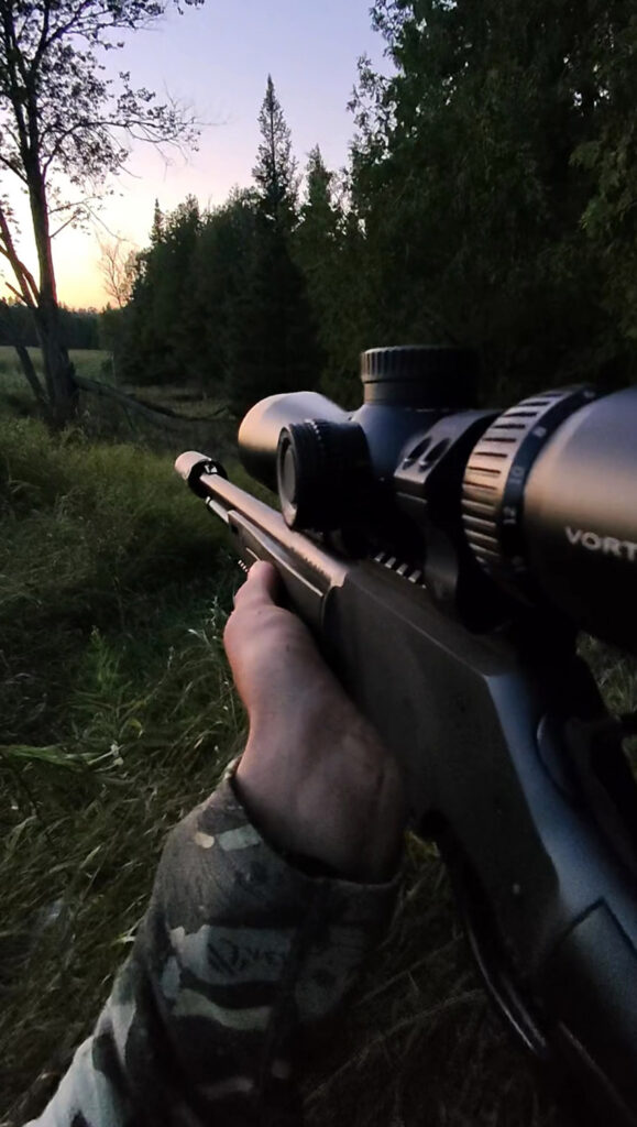 bear hunting