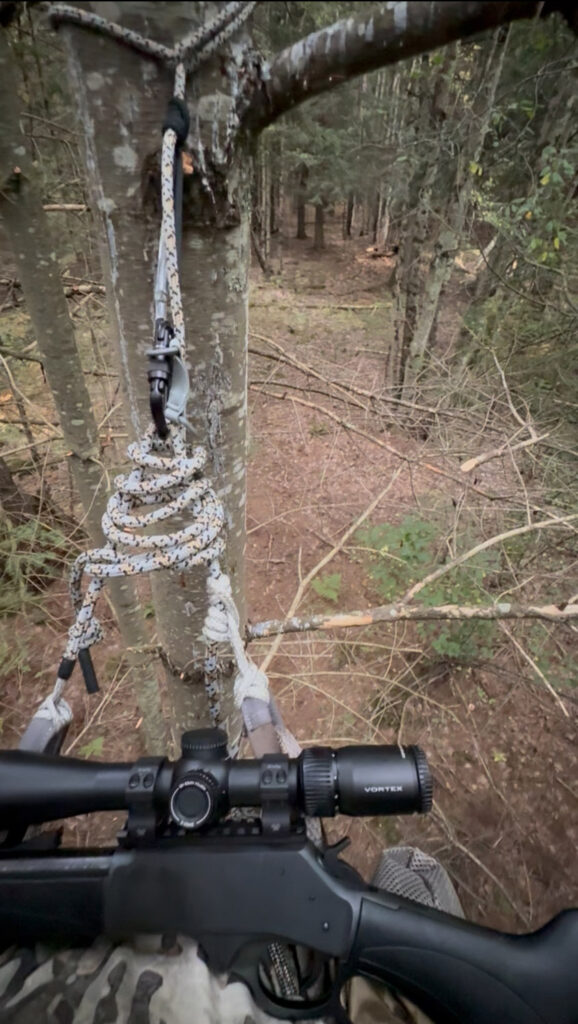 bear hunting