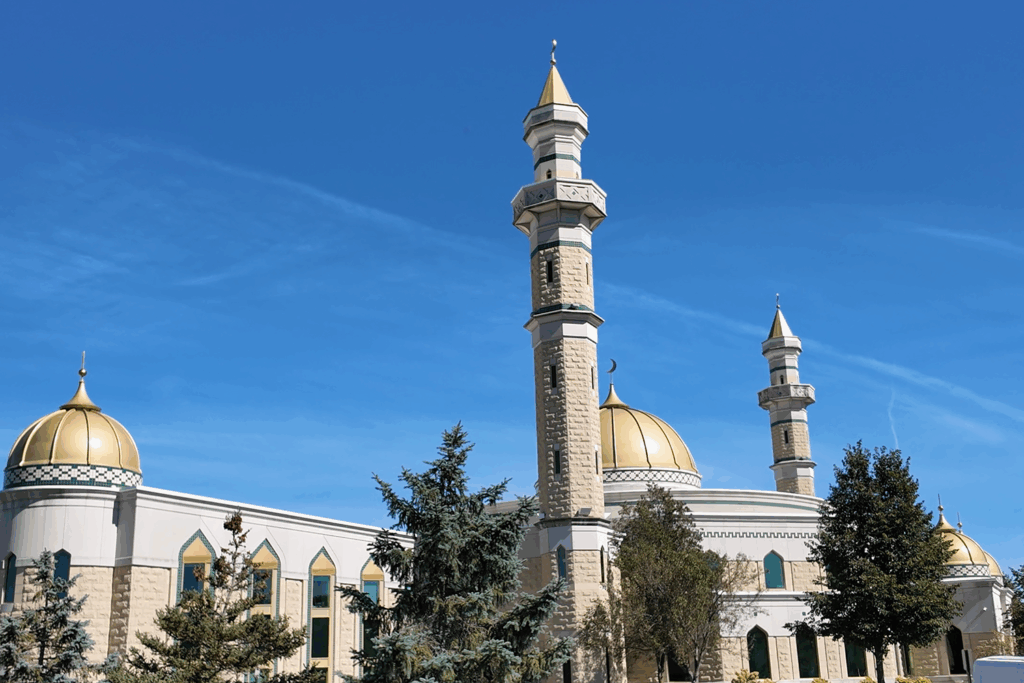 Right-Wing Influencers Don’t Know Shit About Dearborn