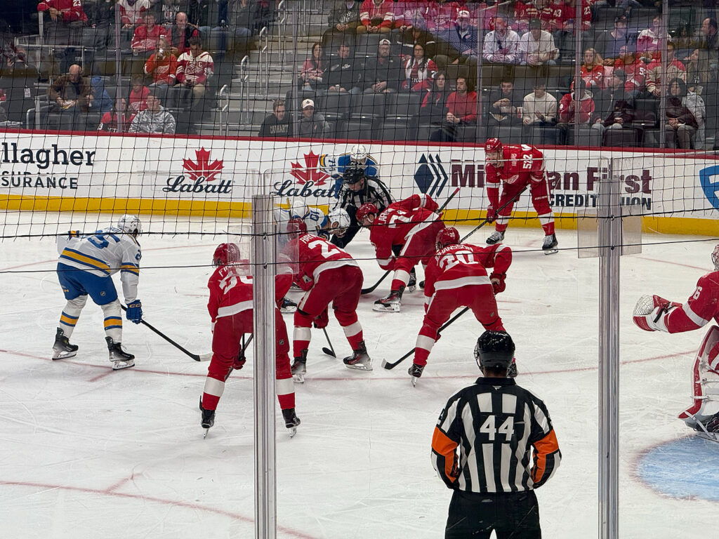 red wings game