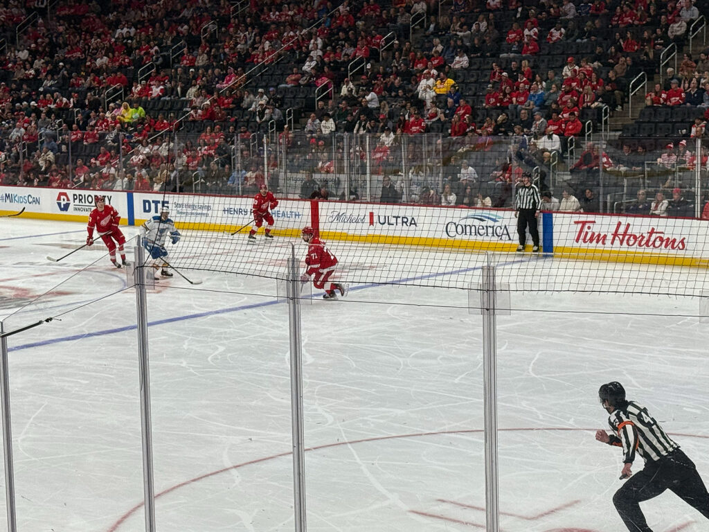 red wings game
