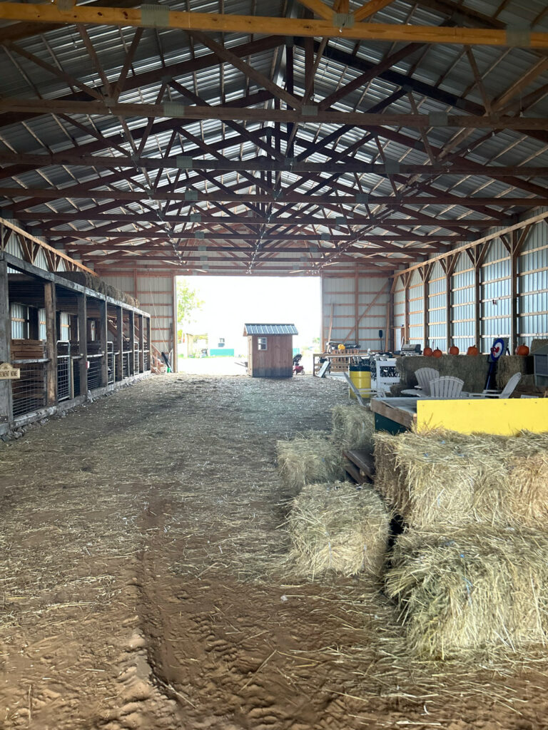 pinni mini farm