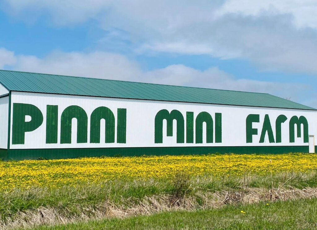 pinni mini farm