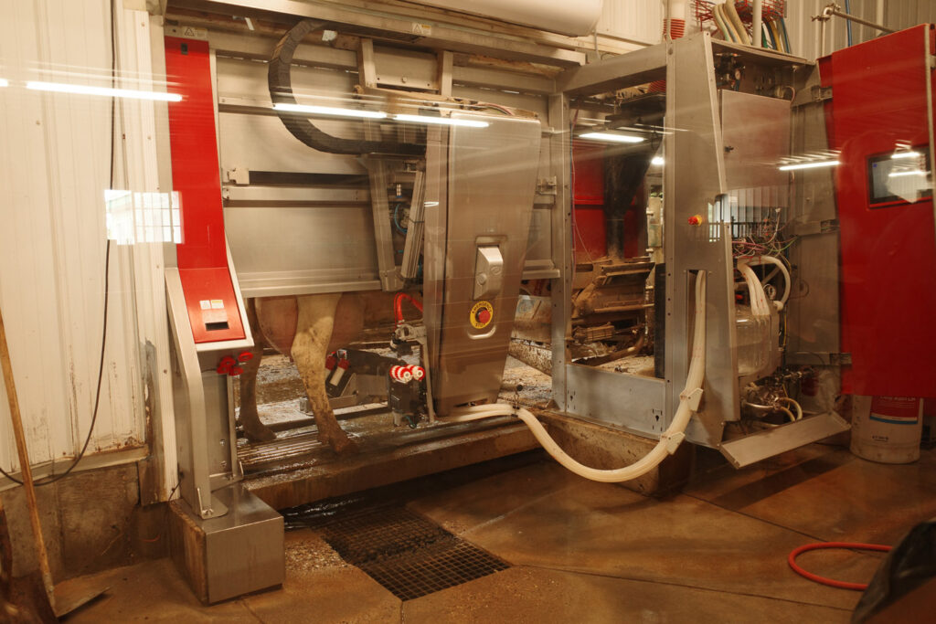 country dairy