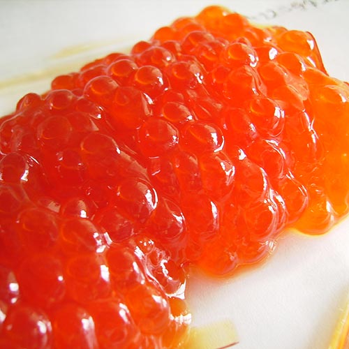 salmon caviar