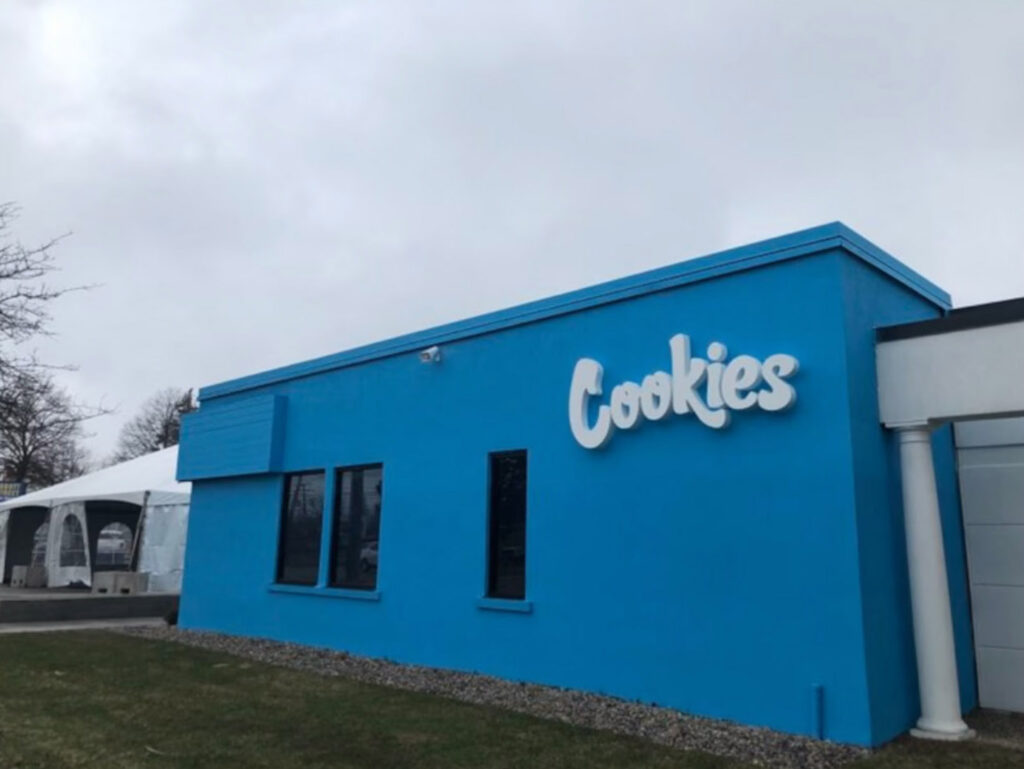 michigan weed stores