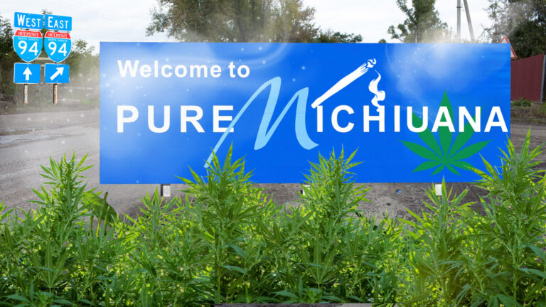 michigan weed stores