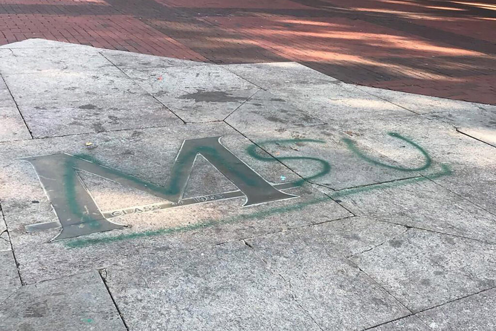 michigan diag